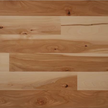 5" x 5/8" Unfinished Engineered Beech Character Samples - Pro Hardwood