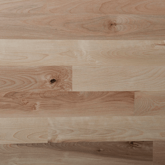 5" x 5/8" Unfinished Engineered Birch Character Samples - Pro Hardwood