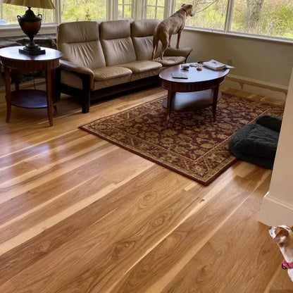 2 1/4" unfinished solid hickory Select & Better flooring